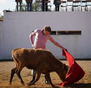 Clemente, puesta a punto en el campo bravo