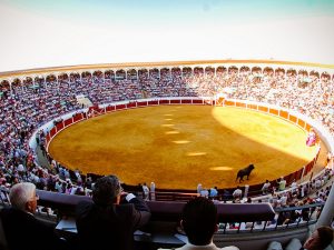 A la venta las entradas para la corrida de Pozoblanco