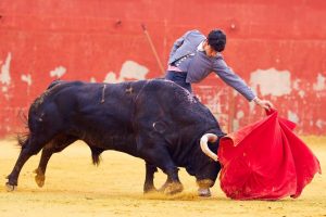 Diego García intensifica su preparación en el campo bravo