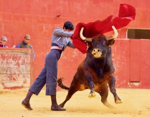 Diego García intensifica su preparación en el campo bravo