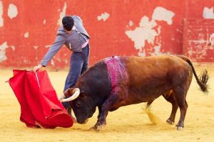 Diego García intensifica su preparación en el campo bravo