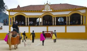 El novillero Iván Rejas se proclama triunfador en Colombia