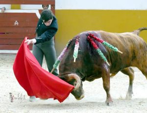 El novillero Iván Rejas se proclama triunfador en Colombia