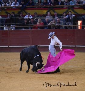 Más de 400.000 euros recaudados en el festival taurino de Madrid