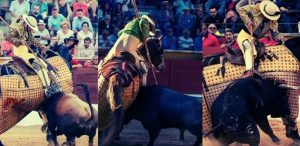 Picadores para la Feria del Aficionado 2025