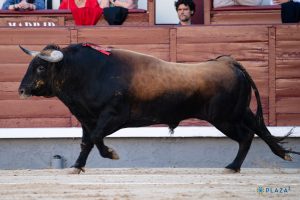 El triunfo como novillero de Litri en Madrid
