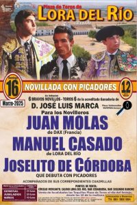 Novillada picada en Lora del Río