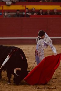 Sebastián Castella y Diego Ventura triunfan en Valdemorillo