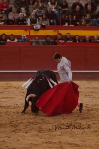 Sebastián Castella y Diego Ventura triunfan en Valdemorillo