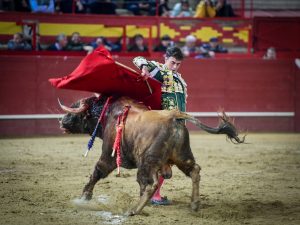 Puerta grande de Javier Zulueta en la primera de Valdemorillo