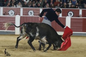 Triunfal festival benéfico en Albacete