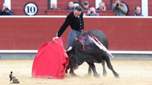 Triunfal festival benéfico en Albacete