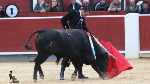 Triunfal festival benéfico en Albacete