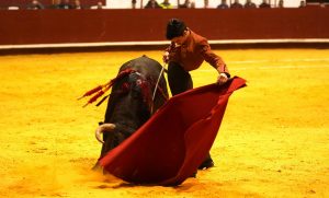 Plaza llena y gran toreo en La Flecha