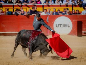 Extraordinario festival benéfico en Utiel