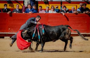 Extraordinario festival benéfico en Utiel