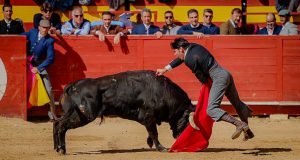 Extraordinario festival benéfico en Utiel