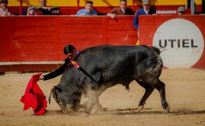 Extraordinario festival benéfico en Utiel