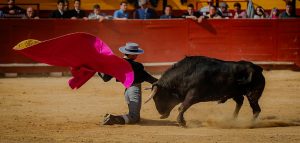 Extraordinario festival benéfico en Utiel