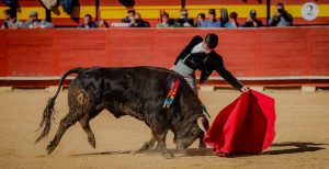 Extraordinario festival benéfico en Utiel