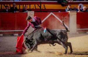 Extraordinario festival benéfico en Utiel