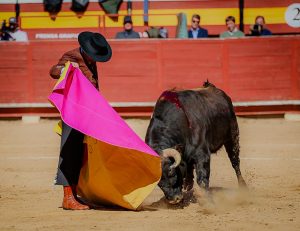 Extraordinario festival benéfico en Utiel