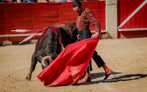 Extraordinario festival benéfico en Utiel