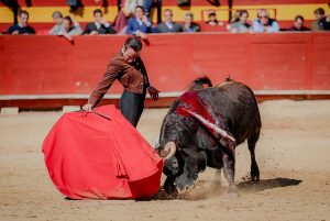 Extraordinario festival benéfico en Utiel
