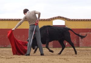 Julio Norte intensifica su preparación de cara al debut con caballos