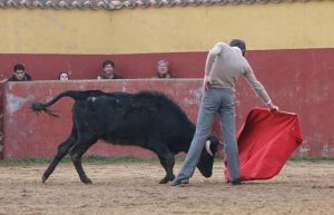 Julio Norte intensifica su preparación de cara al debut con caballos