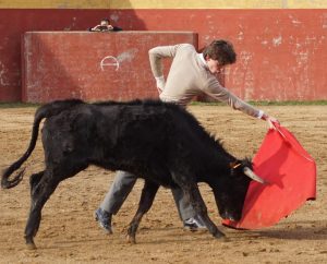Julio Norte intensifica su preparación de cara al debut con caballos