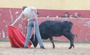 Julio Norte intensifica su preparación de cara al debut con caballos