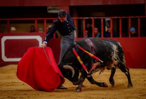 Entretenido festival taurino en La Vall D`Alba
