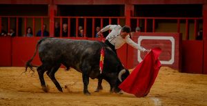 Entretenido festival taurino en La Vall D´Alba