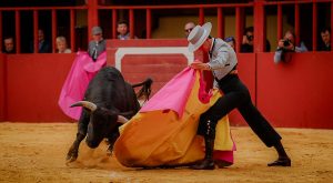 Entretenido festival taurino en La Vall D´Alba