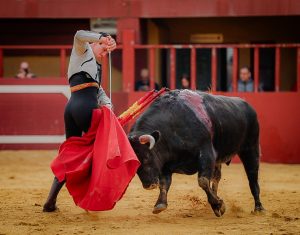 Entretenido festival taurino en La Vall D´Alba