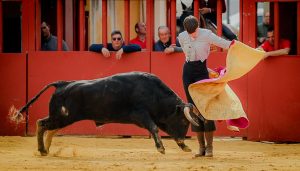 Entretenido festival taurino en La Vall D´Alba