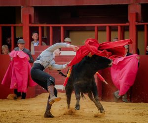 Entretenido festival taurino en La Vall D´Alba