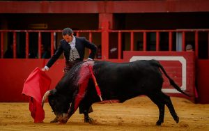 Entretenido festival taurino en La Vall D´Alba