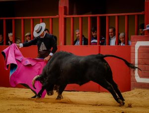 Entretenido festival taurino en La Vall D`Alba