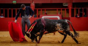Entretenido festival taurino en La Vall D`Alba