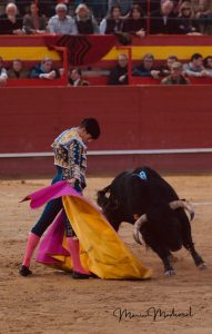 Sebastián Castella y Diego Ventura triunfan en Valdemorillo