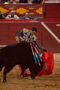 Sebastián Castella y Diego Ventura triunfan en Valdemorillo