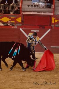 Sebastián Castella y Diego Ventura triunfan en Valdemorillo