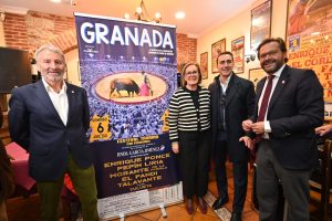 Cartel de figuras para el festival a beneficio de Down Granada