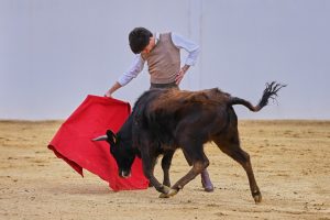 2025, una temporada ilusionante y bonita para Martín Morilla