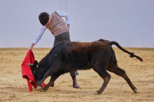 2025, una temporada ilusionante y bonita para Martín Morilla