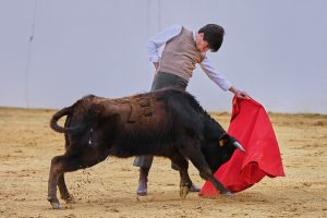 2025, una temporada ilusionante y bonita para Martín Morilla