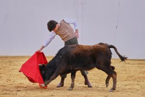 2025, una temporada ilusionante y bonita para Martín Morilla