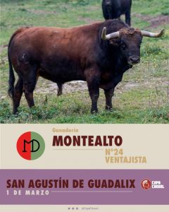 Duelo entre Montealto y El Montecillo para la 1ª de la Copa Chenel